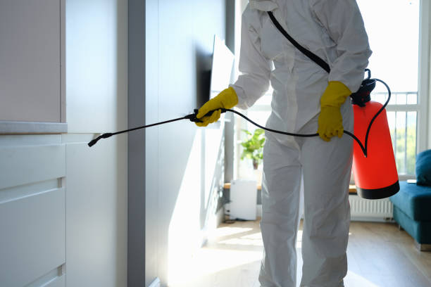 Best Mold Prevention Services  in North Wildwood, NJ